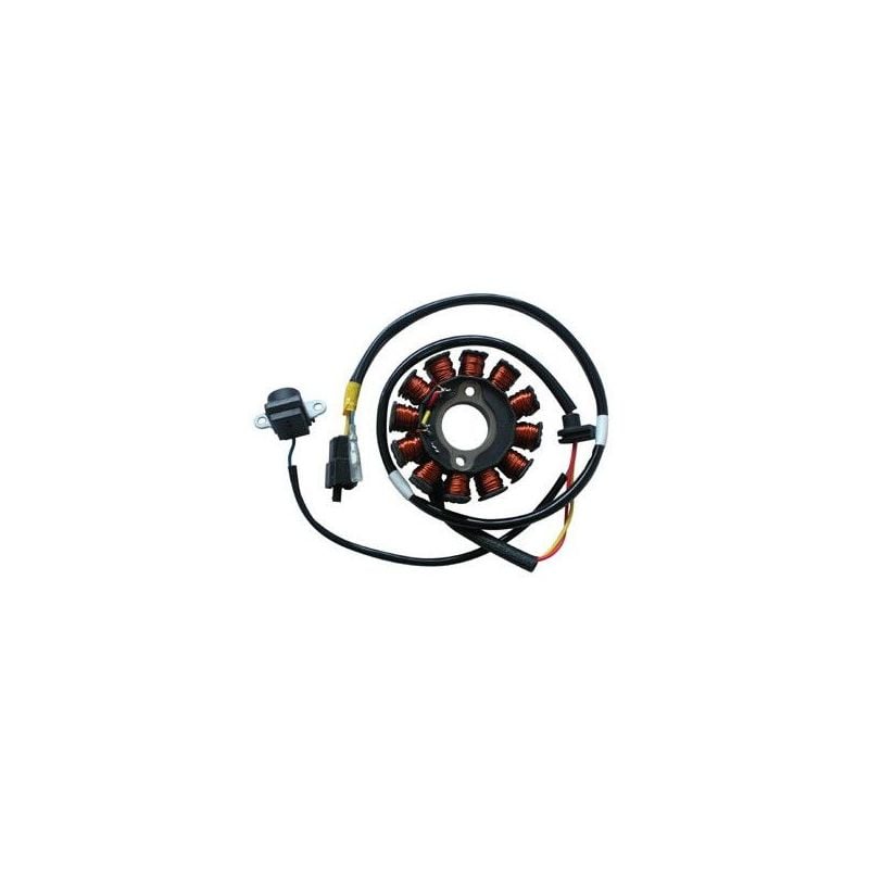 STATORE COMPLETO KYMCO People S 200 05/07