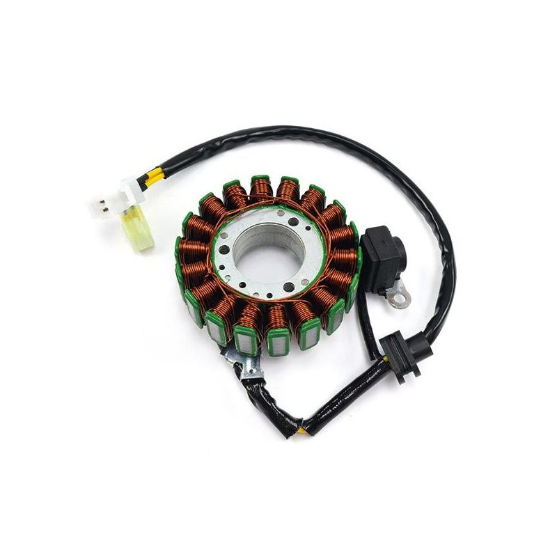 STATORE COMPLETO KYMCO People S IE DD 200 07/15