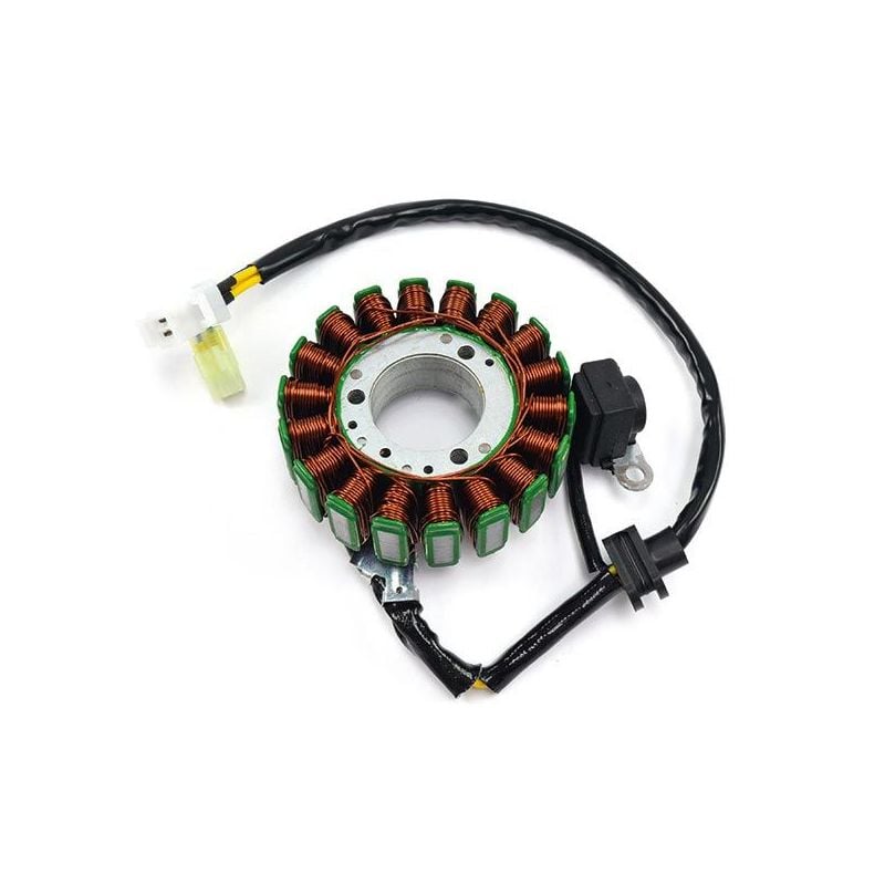 STATORE COMPLETO KYMCO People S IE DD 200 07/15