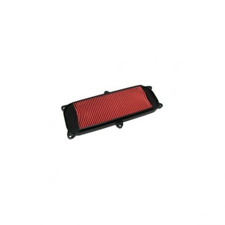 FILTRO ARIA KYMCO People 250 03/05