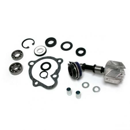 KIT REVISIONE POMPA ACQUA KYMCO People S 250 06/08