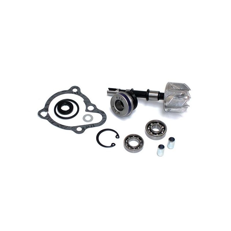 KIT REVISIONE POMPA ACQUA KYMCO Yup 250 03/06
