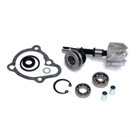 KIT REVISIONE POMPA ACQUA KYMCO Yup 250 03/06
