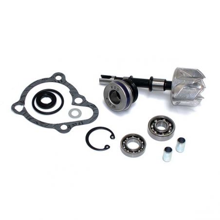 KIT REVISIONE POMPA ACQUA KYMCO Yup 250 03/06