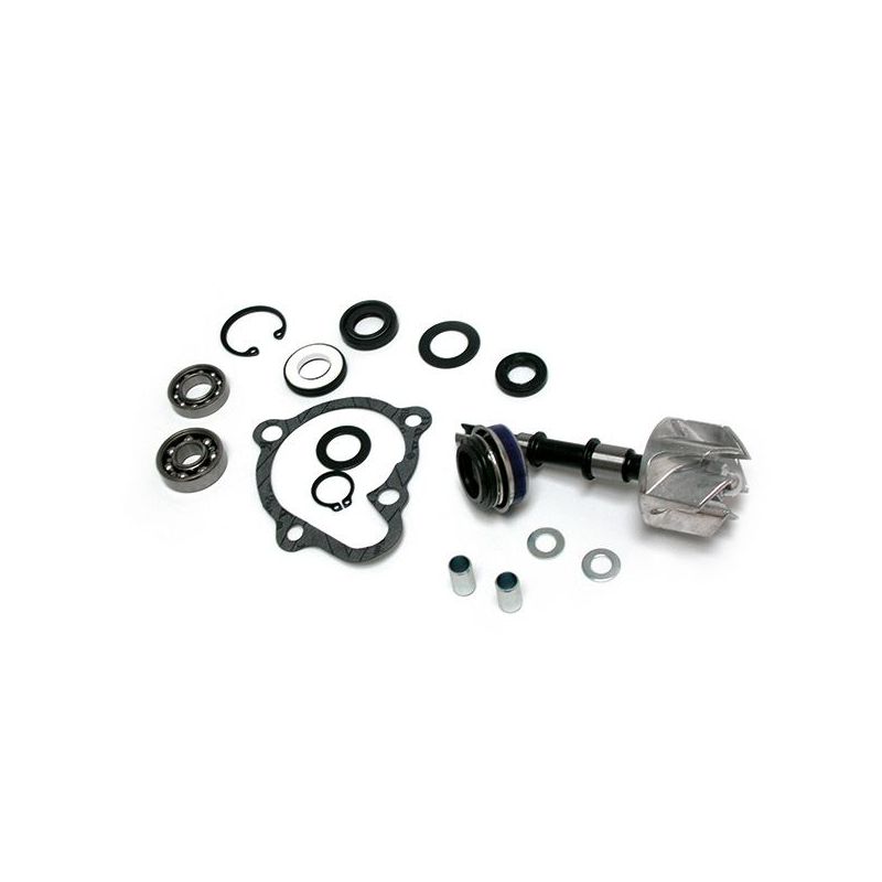 KIT REVISIONE POMPA ACQUA KYMCO People S I 300 08/12