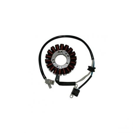 STATORE LINHAI LH T Fox Cruiser 300