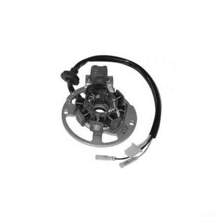 STATORE COMPLETO MALAGUTI Centro SL / SL Kat. 50 94/98
