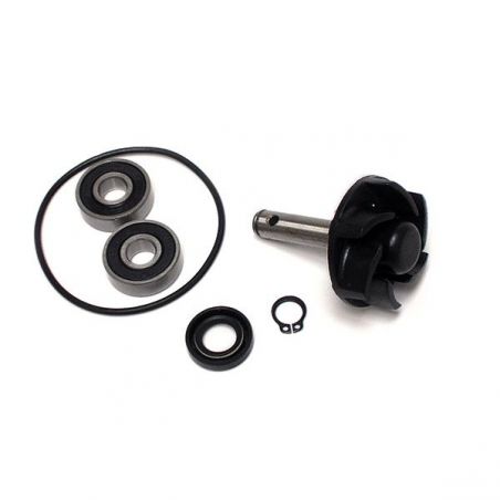 KIT REVISIONE POMPA ACQUA MALAGUTI F12 Phantom LC Euro1 50 99/00