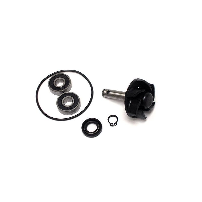 KIT REVISIONE POMPA ACQUA MALAGUTI F15 Firefox LC Rst Euro 2 50 04/05