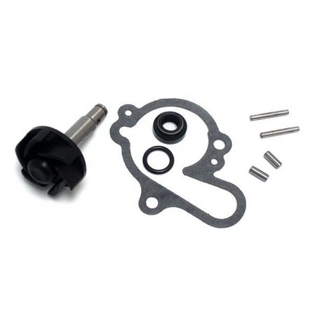 KIT REVISIONE POMPA ACQUA MALAGUTI Fifty Top avv.Elettrico 50 89/97