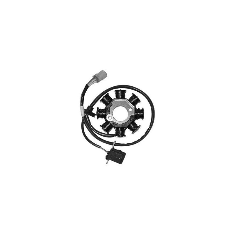 STATORE MALAGUTI Ciak / Ciak Master / Rst E2 125 00/05