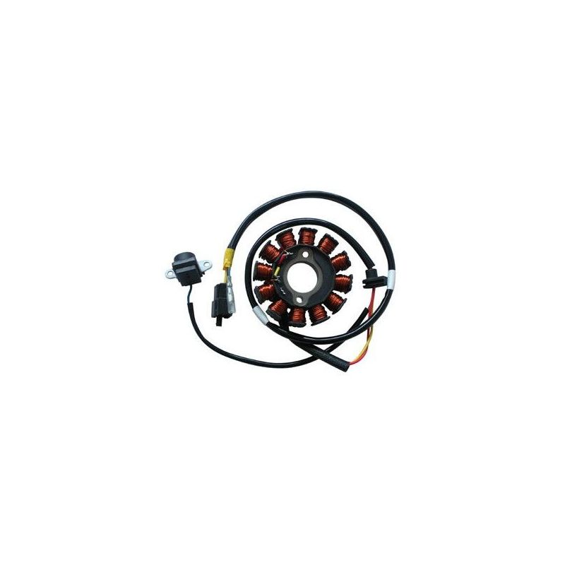 STATORE COMPLETO MALAGUTI Ciak Master E3 125 06/08