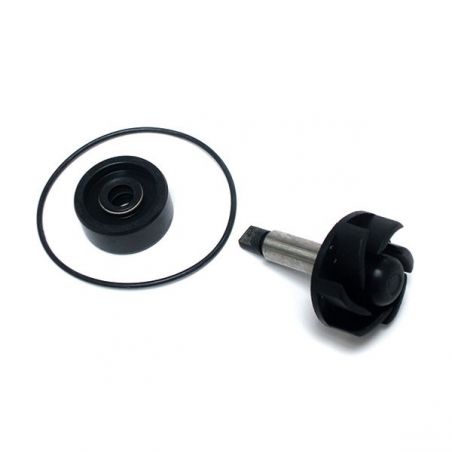 KIT REVISIONE POMPA ACQUA MALAGUTI Madison T 150 99/05