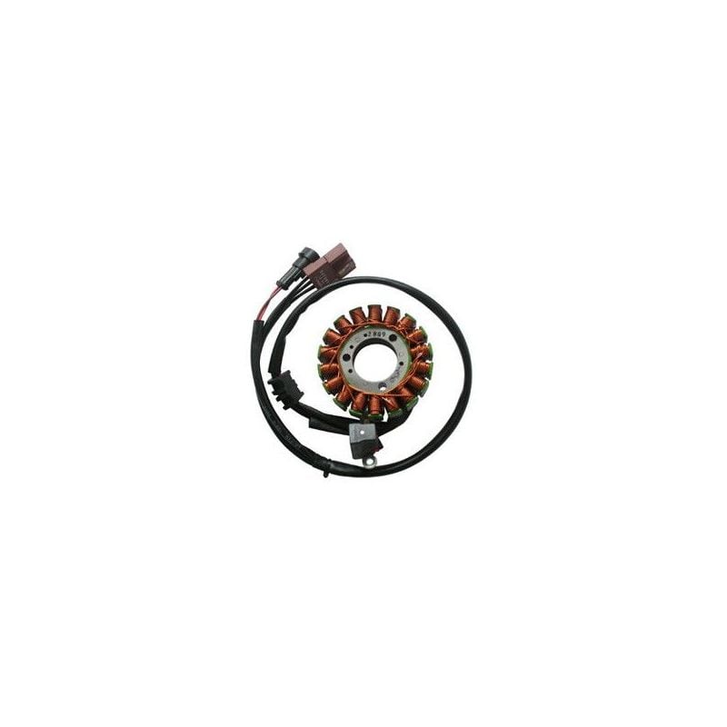 STATORE MALAGUTI Spidermax RS 500 08/10