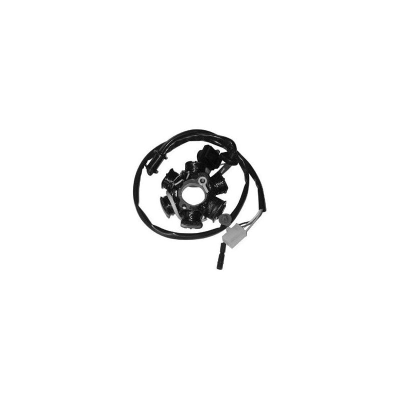 STATORE COMPLETO PEUGEOT Speedfight AIR CAT S/Antifurto 50 99/04