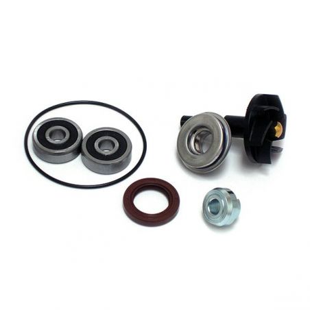 KIT REVISIONE POMPA ACQUA PEUGEOT Geo Style (NISSIN) 300 10/13