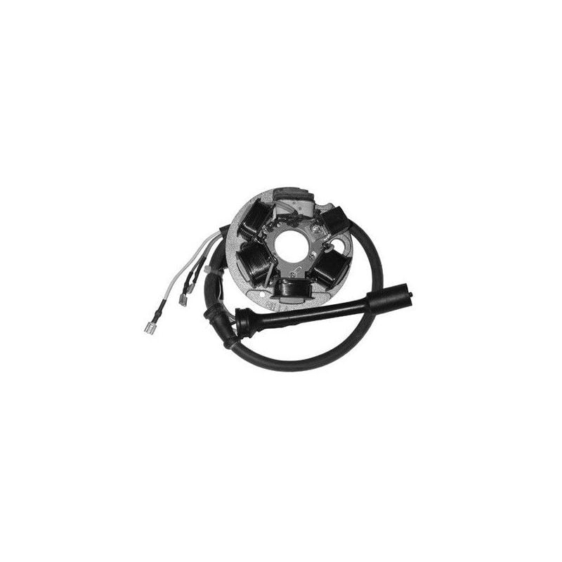 STATORE COMPLETO PIAGGIO Ape MIX/TOP/VPC/VPL/VF 50 99/31-07-11