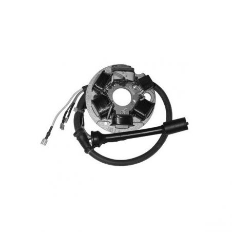 STATORE COMPLETO PIAGGIO Ape MIX/TOP/VPC/VPL/VF 50 99/31-07-11