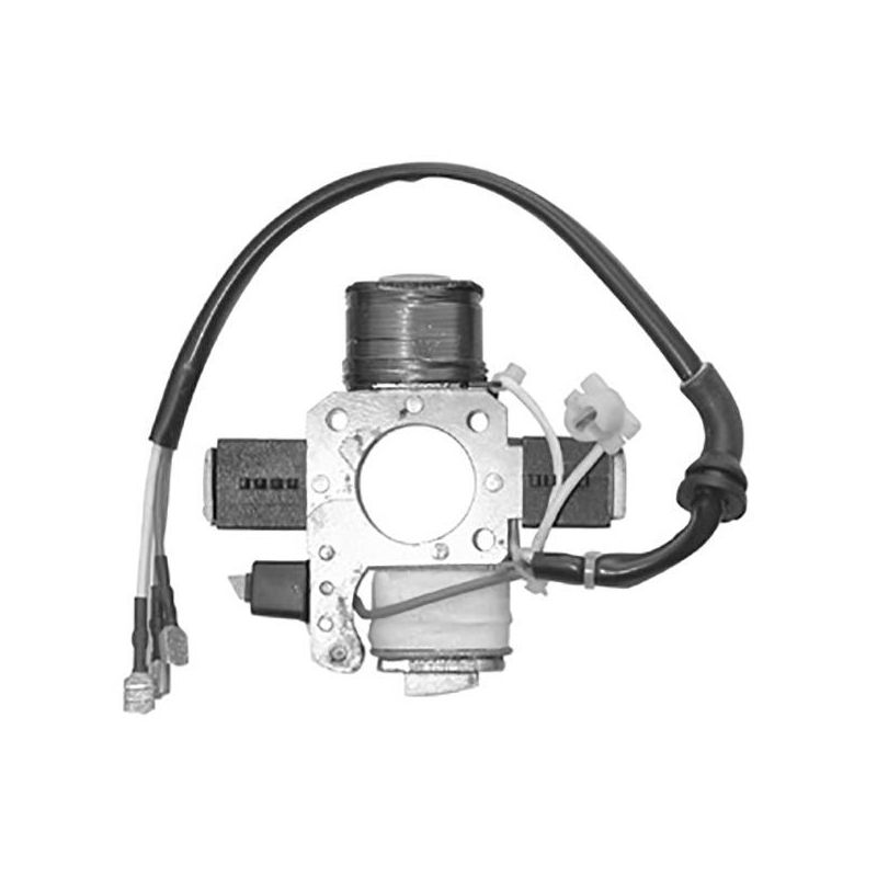 STATORE COMPLETO PIAGGIO Bravo 3 Variatore 50 87/90