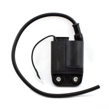 CENTRALINA PIAGGIO Ciao Euro 1 Var. 50 99/01