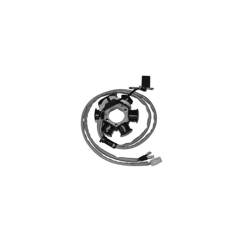 STATORE COMPLETO PIAGGIO Free FL/FL2 TT 50 95/99