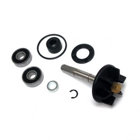 KIT REVISIONE POMPA ACQUA PIAGGIO NRG MC2 DD 50 96/01