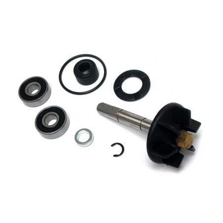 KIT REVISIONE POMPA ACQUA PIAGGIO NTT (estero) 50