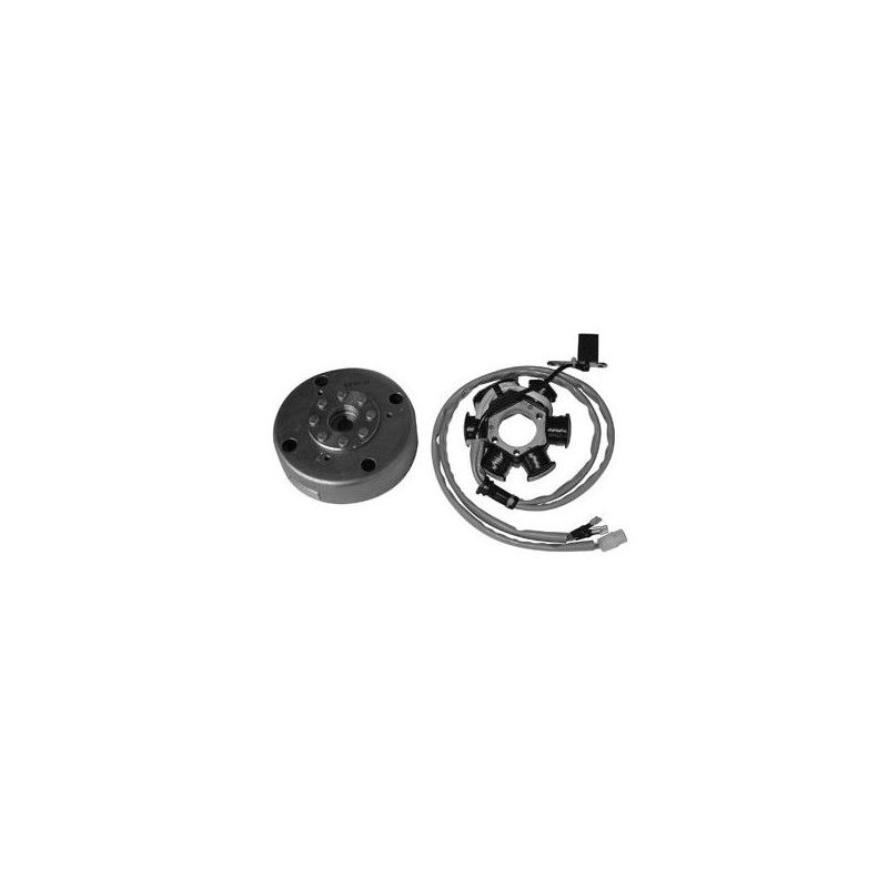 VOLANO COMPLETO PIAGGIO Zip Fast Rider Rst 50 96/97