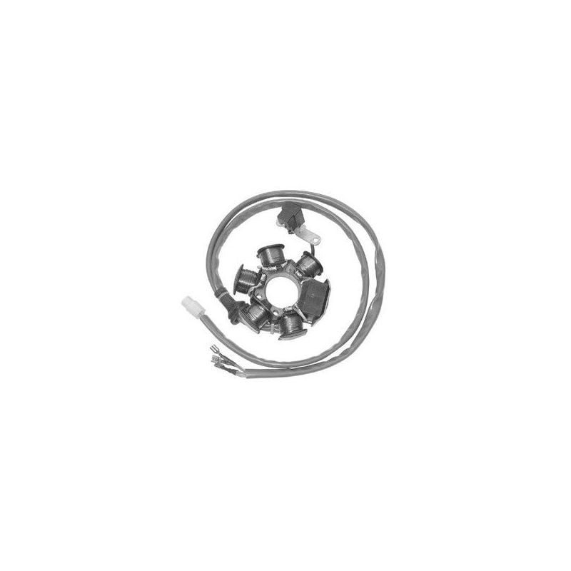 STATORE COMPLETO PIAGGIO Zip Fast Rider Rst 50 96/97