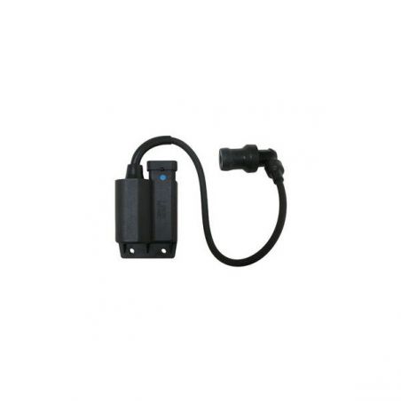 CENTRALINA BOBINA PIAGGIO FLY 4T 100 05/09