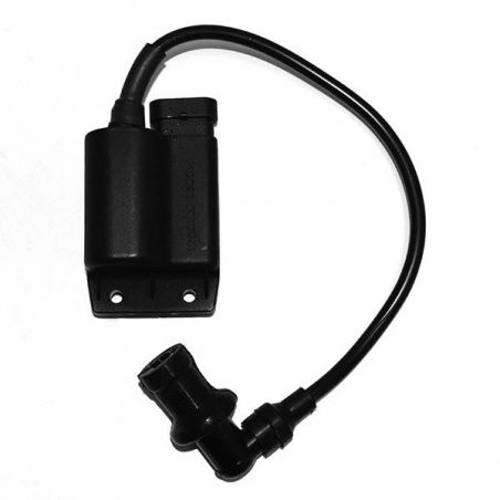CENTRALINA BOBINA PIAGGIO Zip 4T 100 02/12