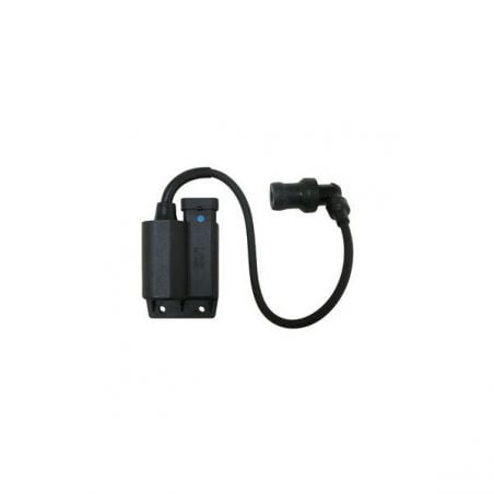 CENTRALINA BOBINA PIAGGIO Zip 4T 100 02/12