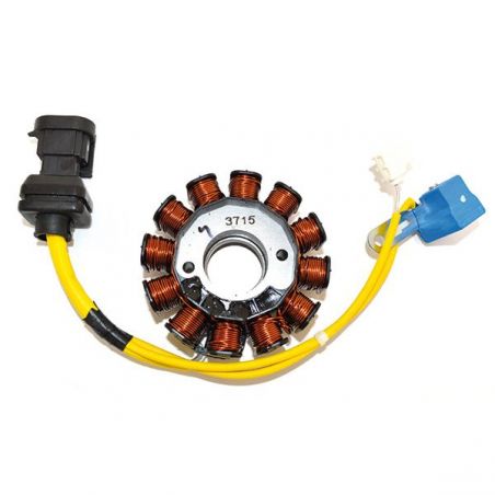 STATORE COMPLETO PIAGGIO Beverly Rst/Rst E3/MIC 125 04/09