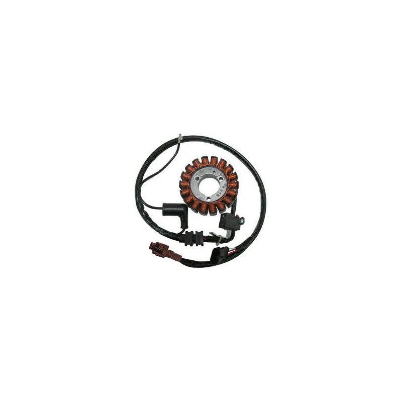 STATORE COMPLETO PIAGGIO MP3 Touring IE (M63100) 125 11/31-08-11
