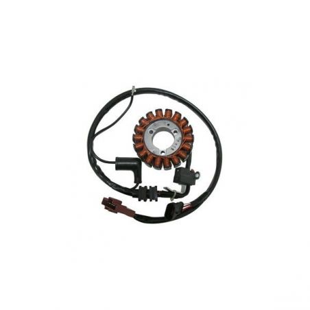STATORE COMPLETO PIAGGIO MP3 Touring IE (M63100) 125 11/31-08-11