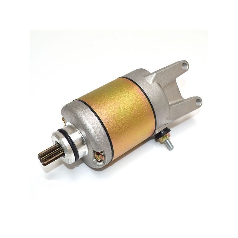 MOTORINO AVV.TO PIAGGIO Beverly IE E3 (M28800) 250 06/09