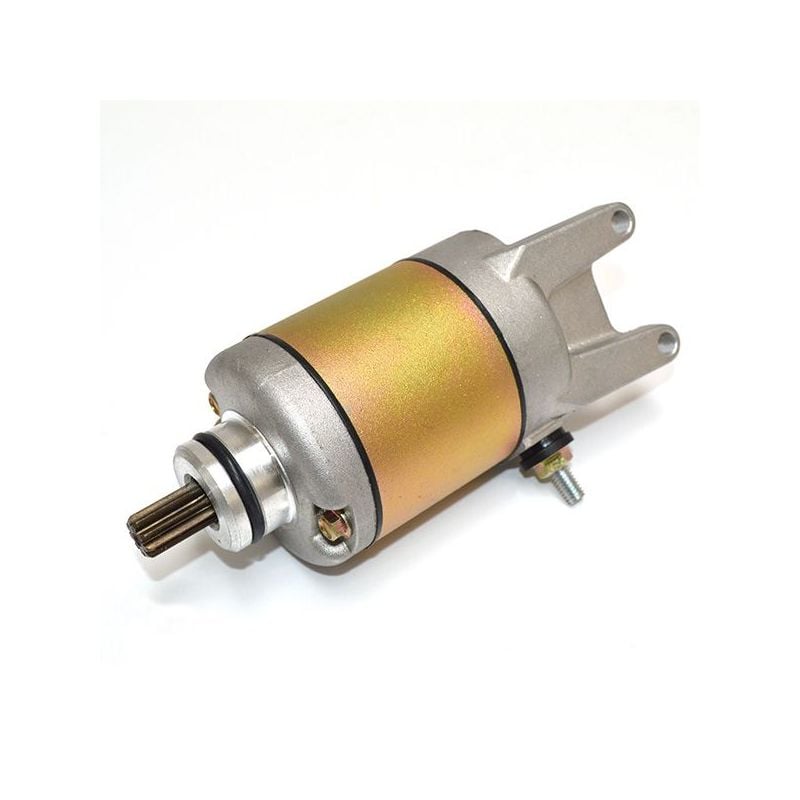 MOTORINO AVV.TO PIAGGIO Beverly Tourer E3 (ZAPM28801) 250 08/09