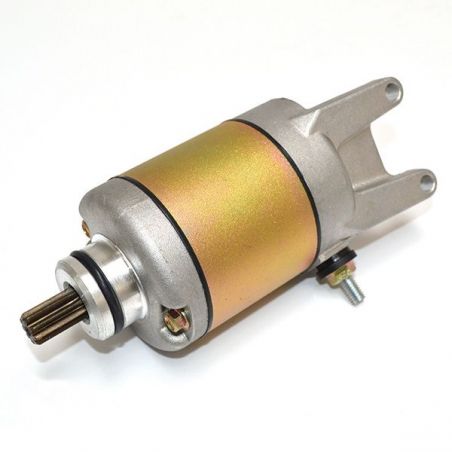 MOTORINO AVV.TO PIAGGIO X8 E3 (M36400) 250 05/08
