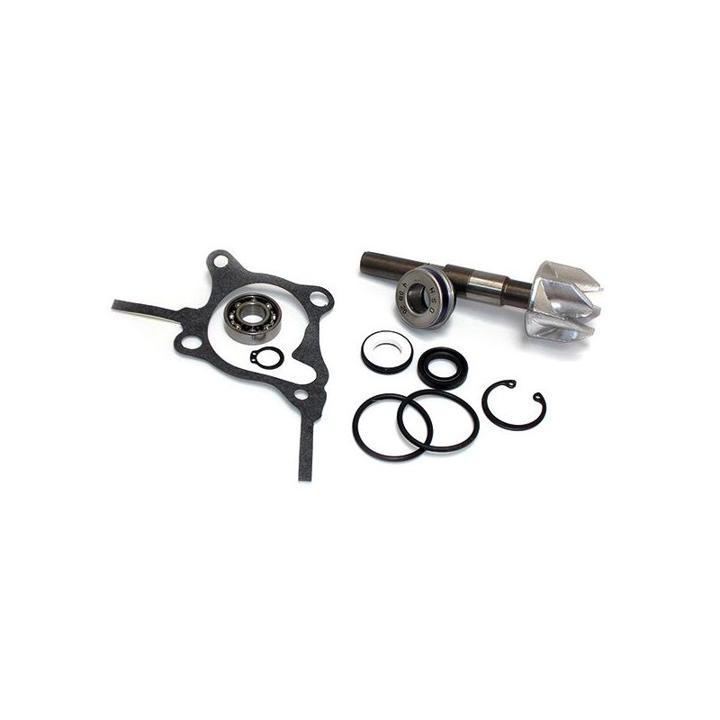 KIT REVISIONE POMPA ACQUA PIAGGIO X9 (M23000) 250 00/03