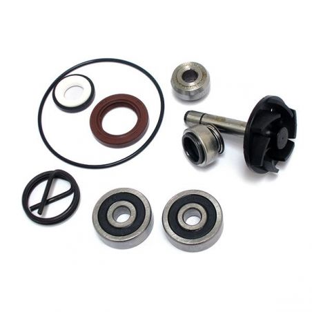 KIT REVISIONE POMPA ACQUA PIAGGIO X9 Evolution (M2300045) 250 04/05