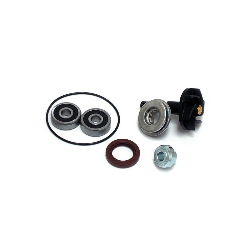 KIT REVISIONE POMPA ACQUA PIAGGIO Beverly Tourer IE (M28A00) 300 09/11