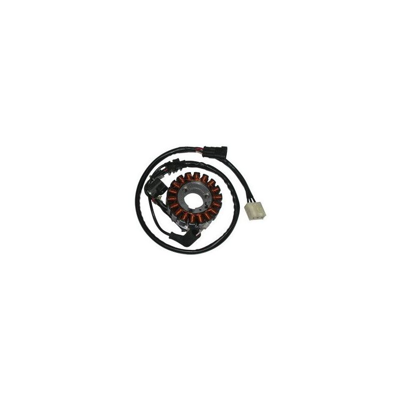 STATORE COMPLETO PIAGGIO MP3 IE MIC (M63301) 300 10/11