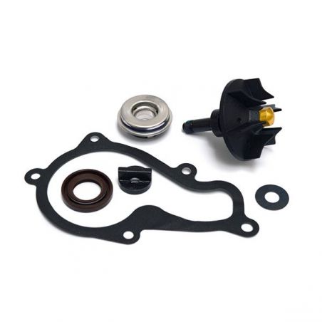 KIT REVISIONE POMPA ACQUA PIAGGIO Beverly IE 4T-4V E3 (M69300) 350 11/15