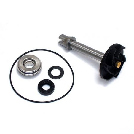 KIT REVISIONE POMPA ACQUA PIAGGIO X Evo 400 07/12