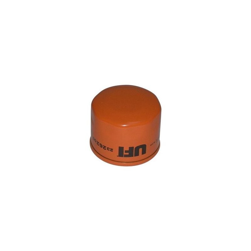 FILTRO OLIO PIAGGIO M Diesel (Lombardini) 500 06/08