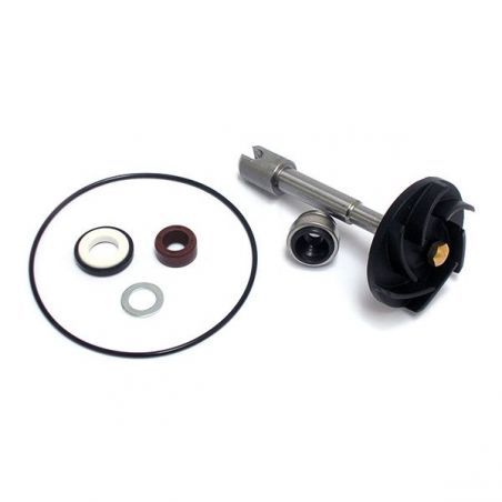 KIT REVISIONE POMPA ACQUA PIAGGIO X9 500 01/05