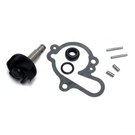 KIT REVISIONE POMPA ACQUA RIEJU RJ Spike Supermotard 50 01/01