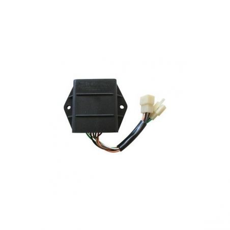 CENTRALINA SUZUKI GS K/H/FH (BK111/BK211/BK221/BK411) (2Cil.) 500 01/02