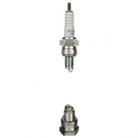 CANDELA SYM Symphony Cargo CBS 4T E4 (AY12W9-EU) 125 17/20