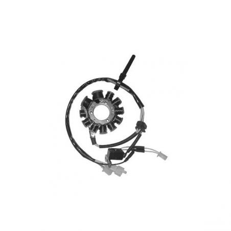 STATORE COMPLETO SYM HD E2 200 03/04